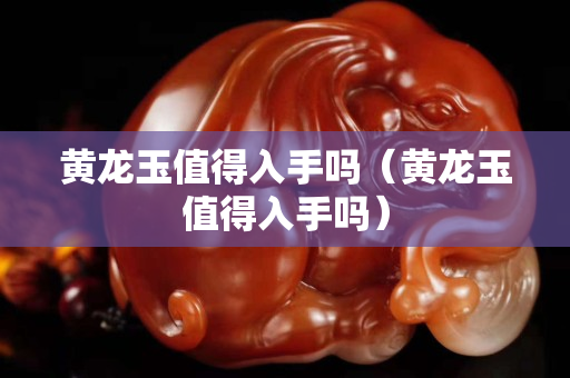 黄龙玉值得入手吗（黄龙玉值得入手吗）