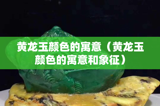 黄龙玉颜色的寓意（黄龙玉颜色的寓意和象征）