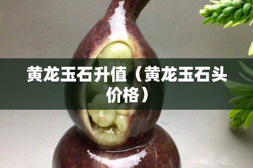 黄龙玉石升值（黄龙玉石头价格）