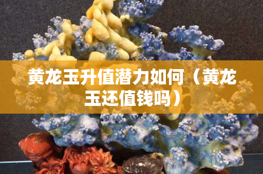 黄龙玉升值潜力如何（黄龙玉还值钱吗）