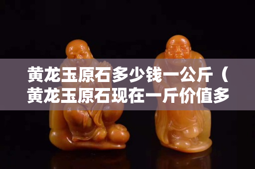黄龙玉原石多少钱一公斤（黄龙玉原石现在一斤价值多少钱）