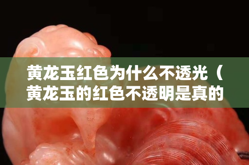 黄龙玉红色为什么不透光（黄龙玉的红色不透明是真的吗）