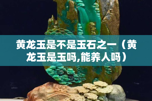 黄龙玉是不是玉石之一（黄龙玉是玉吗,能养人吗）