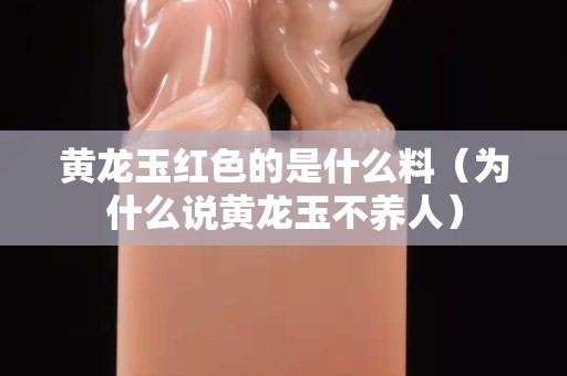 黄龙玉红色的是什么料（为什么说黄龙玉不养人）