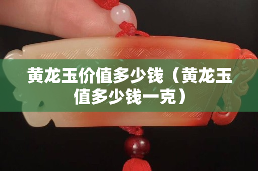 黄龙玉价值多少钱（黄龙玉值多少钱一克）
