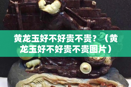 黄龙玉好不好贵不贵？（黄龙玉好不好贵不贵图片）