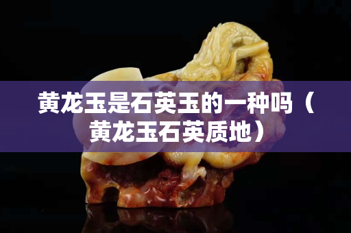 黄龙玉是石英玉的一种吗（黄龙玉石英质地）