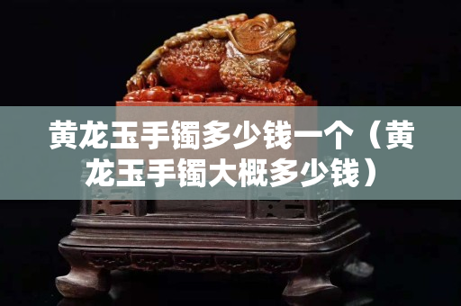 黄龙玉手镯多少钱一个（黄龙玉手镯大概多少钱）