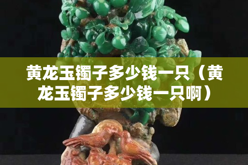 黄龙玉镯子多少钱一只（黄龙玉镯子多少钱一只啊）