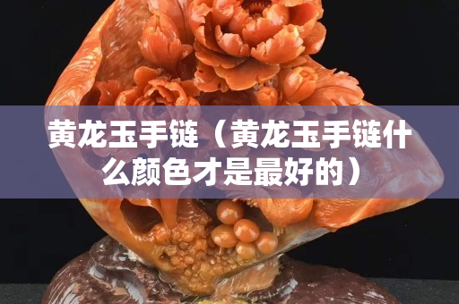 黄龙玉手链（黄龙玉手链什么颜色才是最好的）