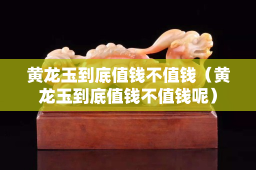 黄龙玉到底值钱不值钱（黄龙玉到底值钱不值钱呢）