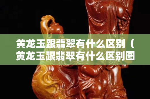 黄龙玉跟翡翠有什么区别（黄龙玉跟翡翠有什么区别图片）