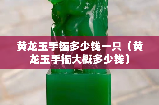 黄龙玉手镯多少钱一只（黄龙玉手镯大概多少钱）
