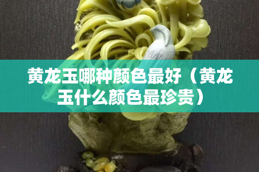 黄龙玉哪种颜色最好（黄龙玉什么颜色最珍贵）