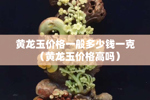 黄龙玉价格一般多少钱一克（黄龙玉价格高吗）