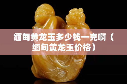 缅甸黄龙玉多少钱一克啊（缅甸黄龙玉价格）