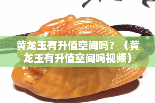 黄龙玉有升值空间吗？（黄龙玉有升值空间吗视频）
