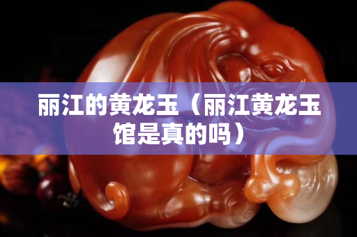 丽江的黄龙玉（丽江黄龙玉馆是真的吗）
