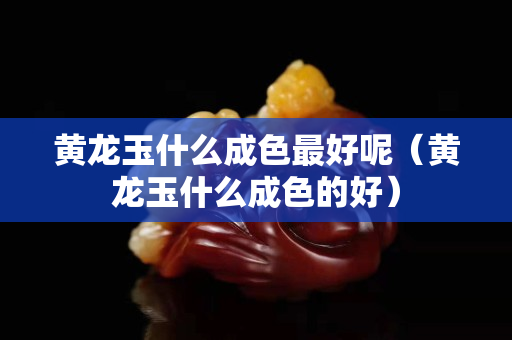 黄龙玉什么成色最好呢（黄龙玉什么成色的好）