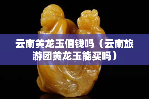 云南黄龙玉值钱吗（云南旅游团黄龙玉能买吗）