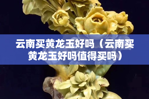 云南买黄龙玉好吗（云南买黄龙玉好吗值得买吗）