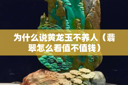 为什么说黄龙玉不养人（翡翠怎么看值不值钱）