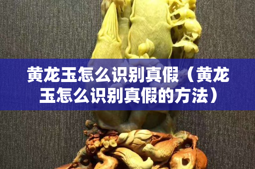 黄龙玉怎么识别真假（黄龙玉怎么识别真假的方法）