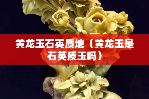 黄龙玉石英质地（黄龙玉是石英质玉吗）