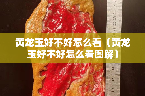 黄龙玉好不好怎么看（黄龙玉好不好怎么看图解）