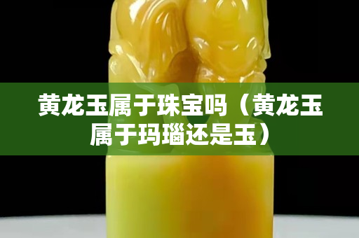 黄龙玉属于珠宝吗（黄龙玉属于玛瑙还是玉）