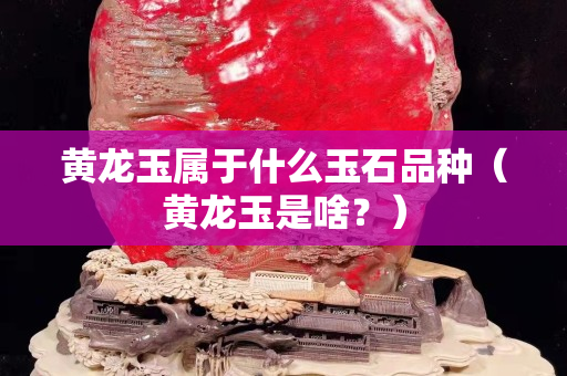黄龙玉属于什么玉石品种（黄龙玉是啥？）