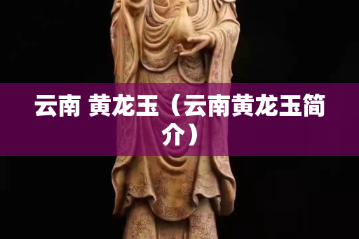 云南 黄龙玉（云南黄龙玉简介）