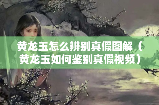 黄龙玉怎么辨别真假图解（黄龙玉如何鉴别真假视频）