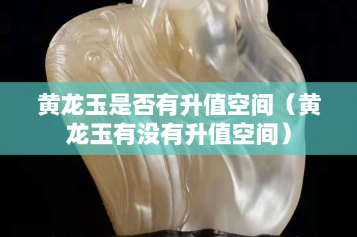 黄龙玉是否有升值空间（黄龙玉有没有升值空间）