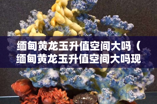 缅甸黄龙玉升值空间大吗（缅甸黄龙玉升值空间大吗现在）