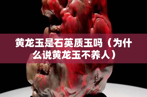 黄龙玉是石英质玉吗（为什么说黄龙玉不养人）