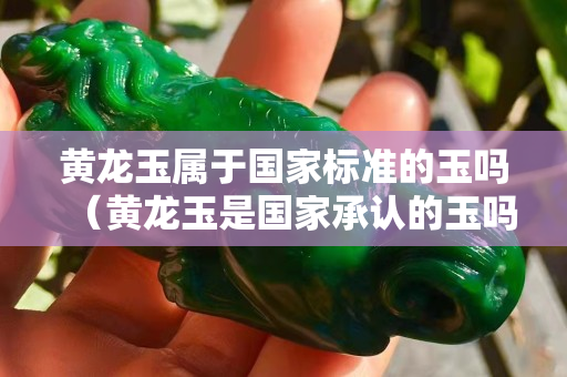 黄龙玉属于国家标准的玉吗（黄龙玉是国家承认的玉吗）