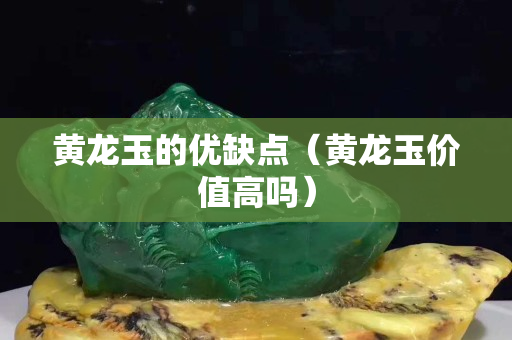黄龙玉的优缺点（黄龙玉价值高吗）