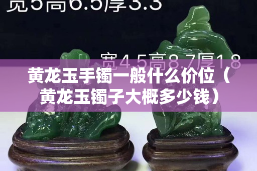 黄龙玉手镯一般什么价位（黄龙玉镯子大概多少钱）
