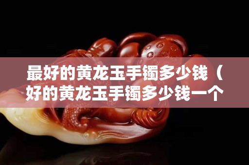 最好的黄龙玉手镯多少钱（好的黄龙玉手镯多少钱一个）