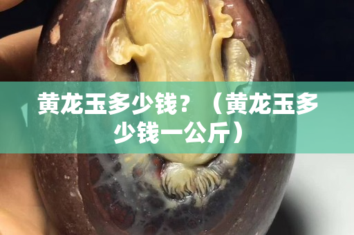 黄龙玉多少钱？（黄龙玉多少钱一公斤）