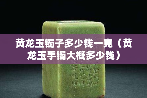 黄龙玉镯子多少钱一克（黄龙玉手镯大概多少钱）