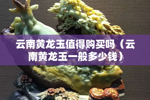 云南黄龙玉值得购买吗（云南黄龙玉一般多少钱）