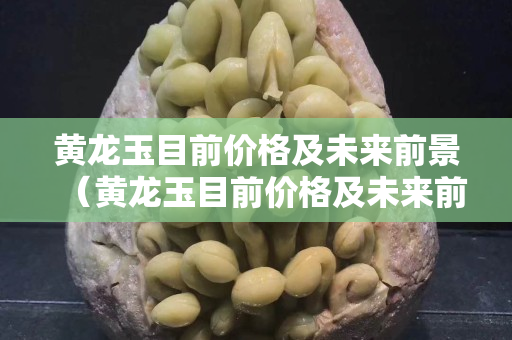 黄龙玉目前价格及未来前景（黄龙玉目前价格及未来前景分析）