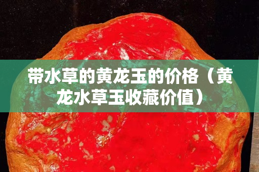 带水草的黄龙玉的价格（黄龙水草玉收藏价值）