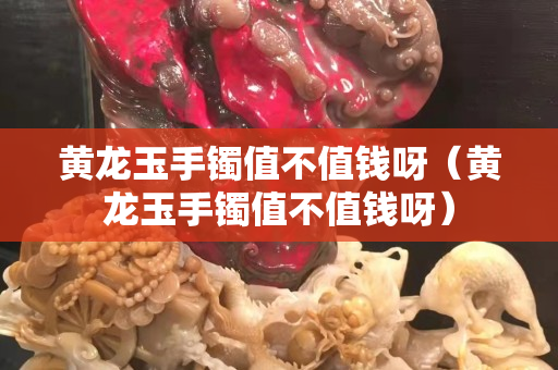 黄龙玉手镯值不值钱呀（黄龙玉手镯值不值钱呀）