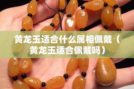 黄龙玉适合什么属相佩戴（黄龙玉适合佩戴吗）