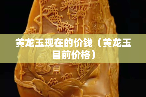 黄龙玉现在的价钱（黄龙玉目前价格）