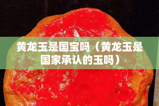 黄龙玉是国宝吗（黄龙玉是国家承认的玉吗）