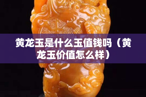 黄龙玉是什么玉值钱吗（黄龙玉价值怎么样）